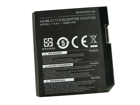 Dell Alienware M17x laptop battery
