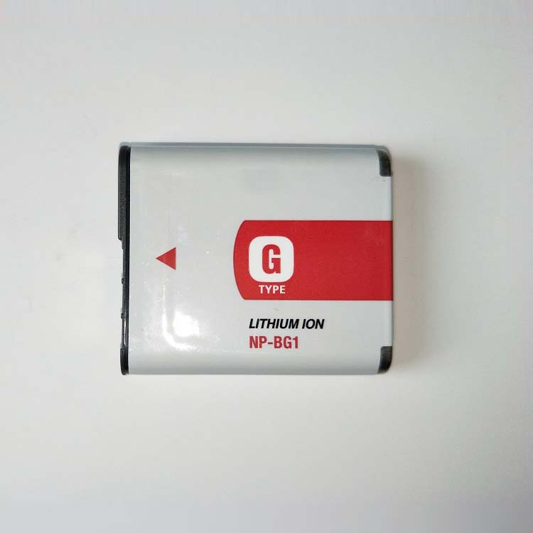 NP-BG1 laptop battery